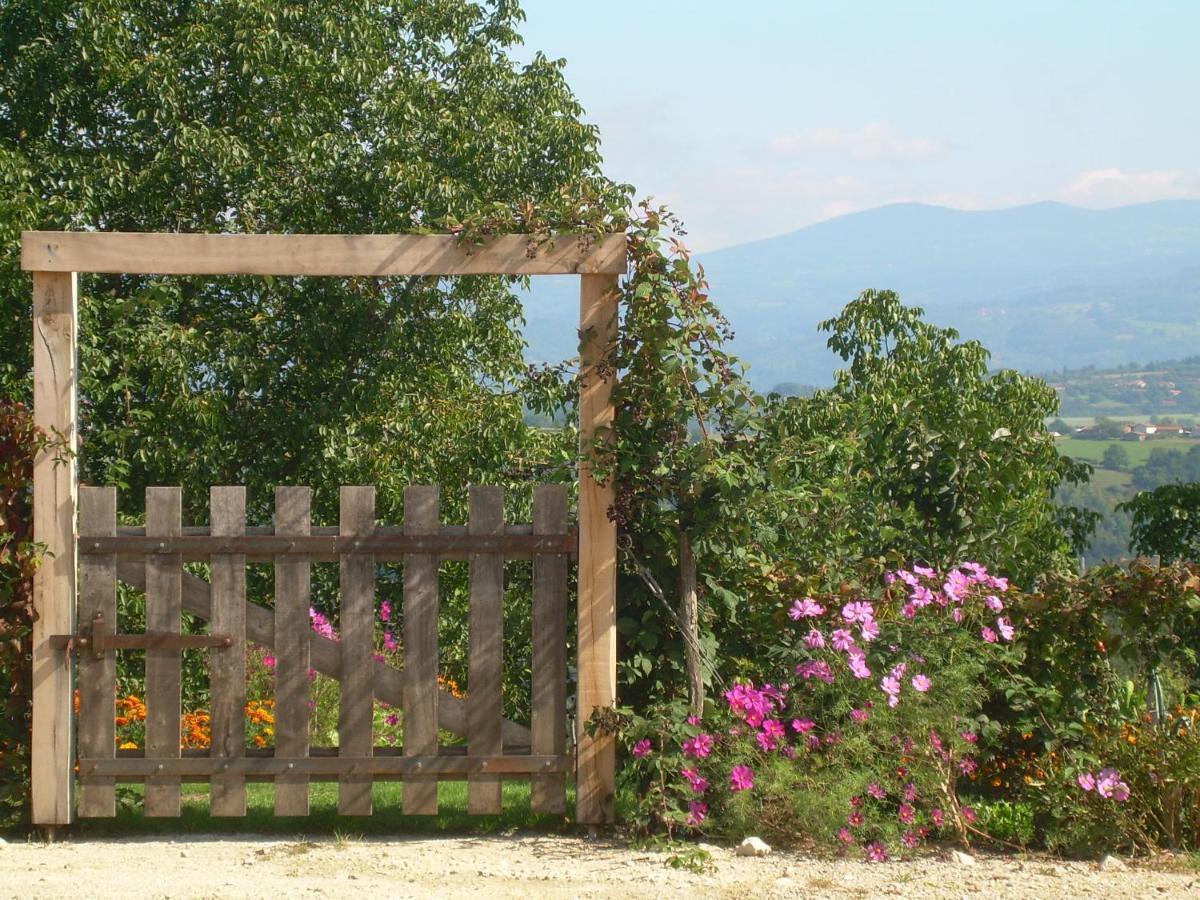 Chez Tiane Puy De Dome Bed & Breakfast Saint-Flour  Exterior foto